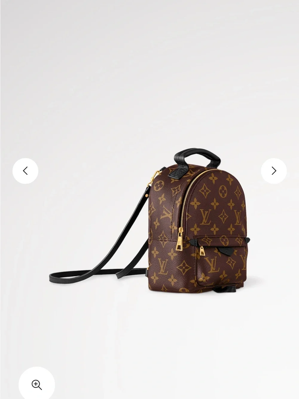 Louis Vuitton Brown Monogram Palm Springs Mini Backpack.